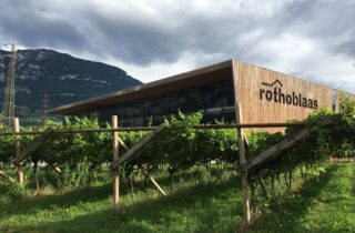 Siedziba firmy Rothoblaas, w tle góry, na pierwszym planie winnice.